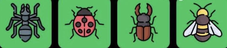 FLIES Daily Combo 25 March 2025